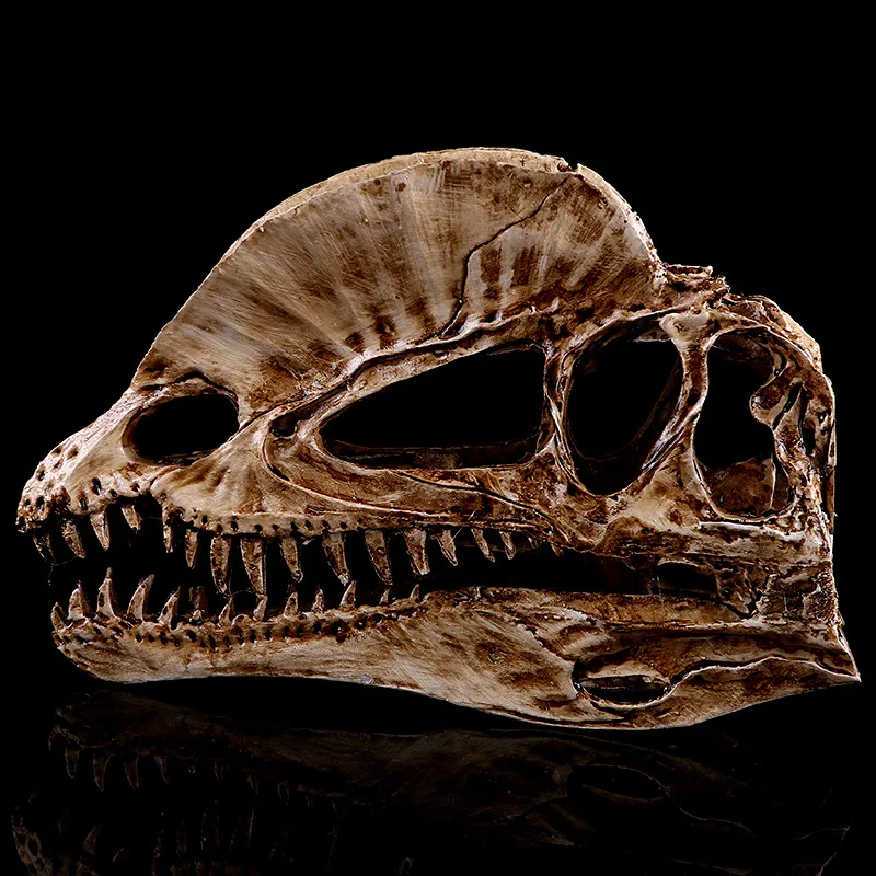 [MGT]Resin Craft Decoration Di - Dinosaur And Craft 评论和价格