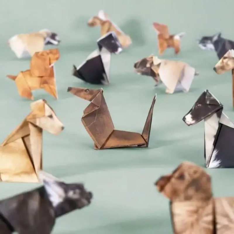 50Pcs DIY Origami Paper Kit Ca - Dinosaur And Craft 评论和价格