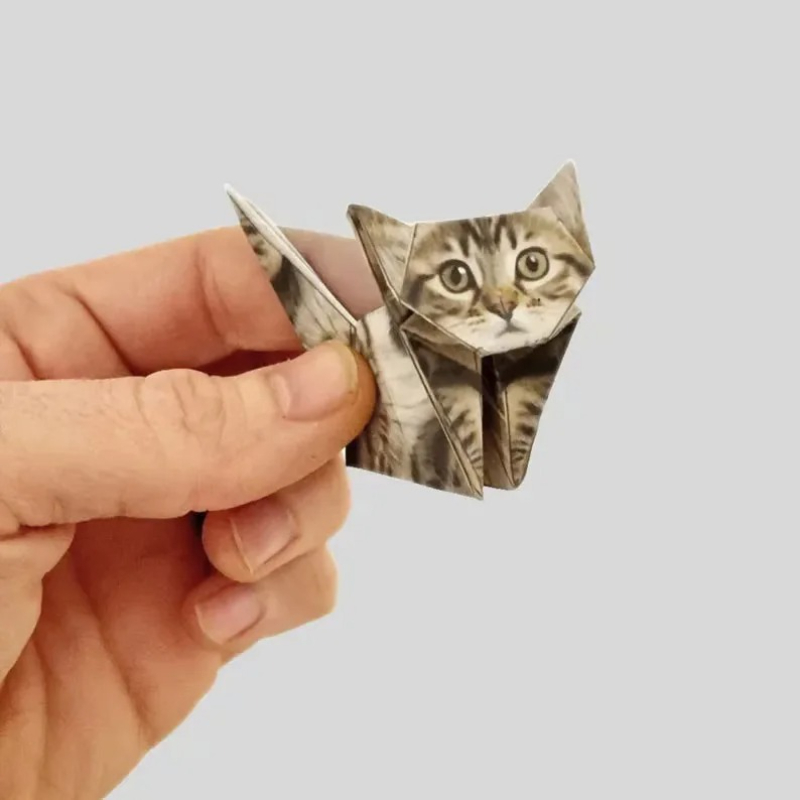 Creative DIY Origami Paper Set - Dinosaur And Craft 评论和价格