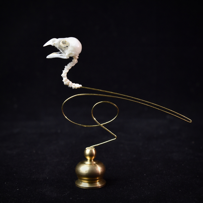 2111 Boutique Ethical Bird Sku - Art Craft Museum 评论和价格