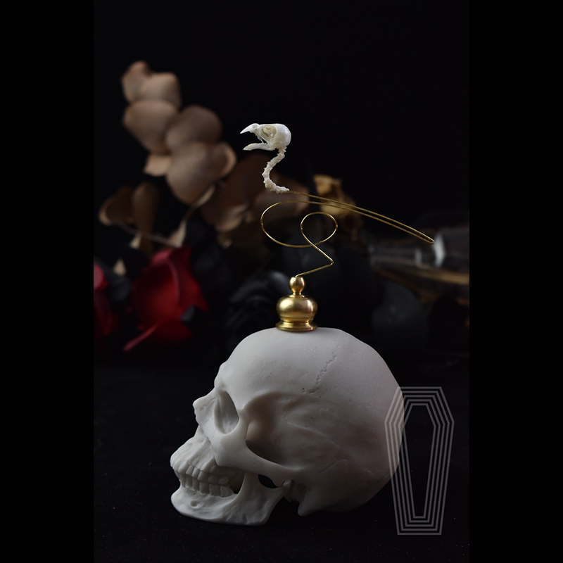 2111 Boutique Ethical Bird Sku - Art Craft Museum 评论和价格