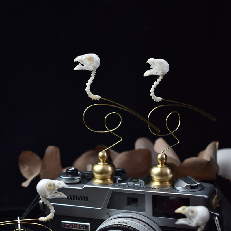 2111 Boutique Ethical Bird Sku - Art Craft Museum 评论和价格