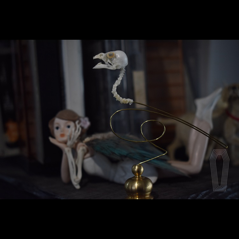 2111 Boutique Ethical Bird Sku - Art Craft Museum 评论和价格