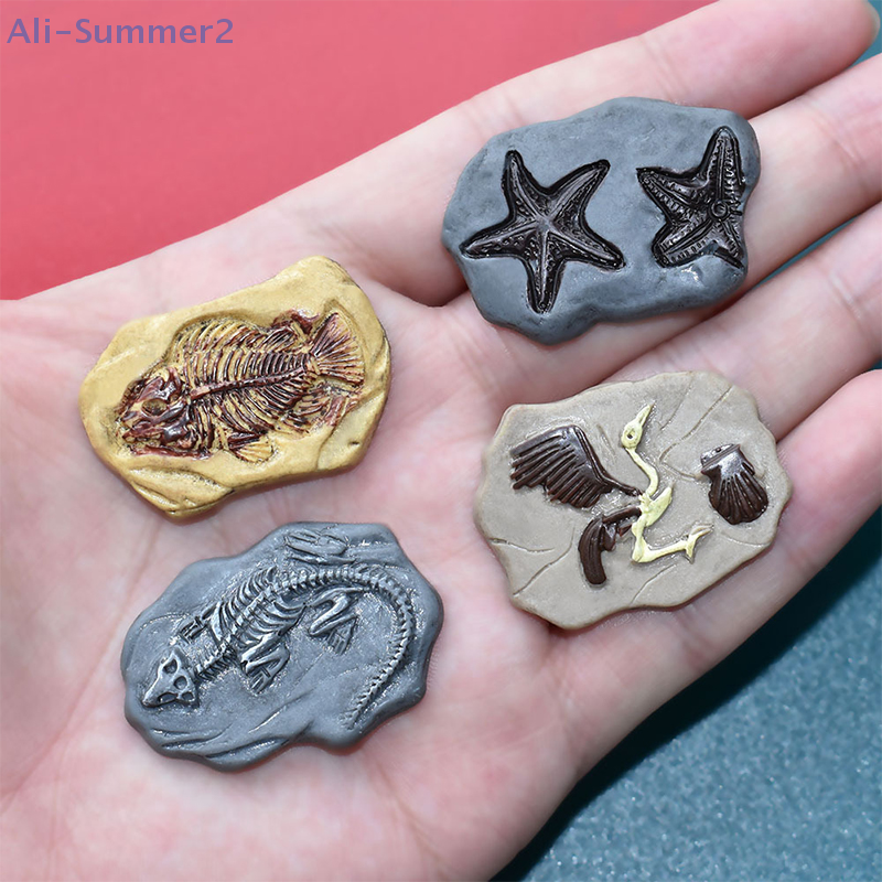 Mini Dinosaur Fossil Model Set - Dinosaur And Craft 评论和价格