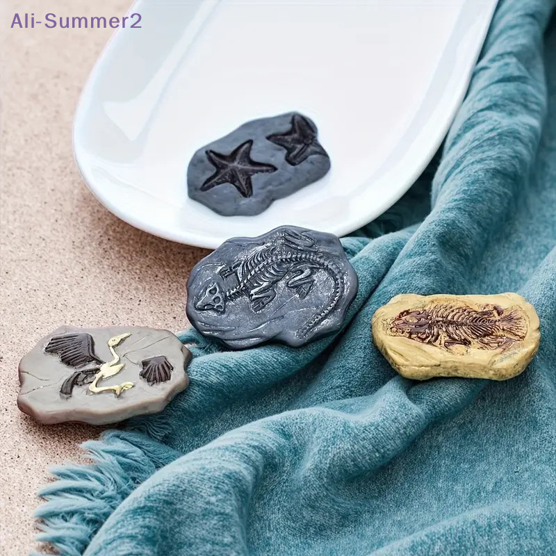 Mini Dinosaur Fossil Model Set - Dinosaur And Craft 评论和价格