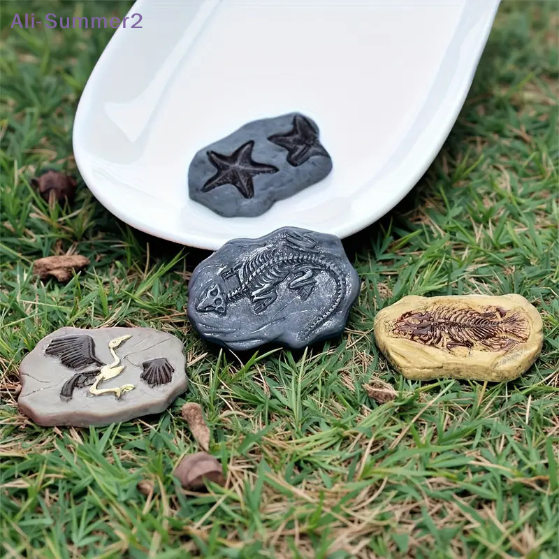 Mini Dinosaur Fossil Model Set - Dinosaur And Craft 评论和价格